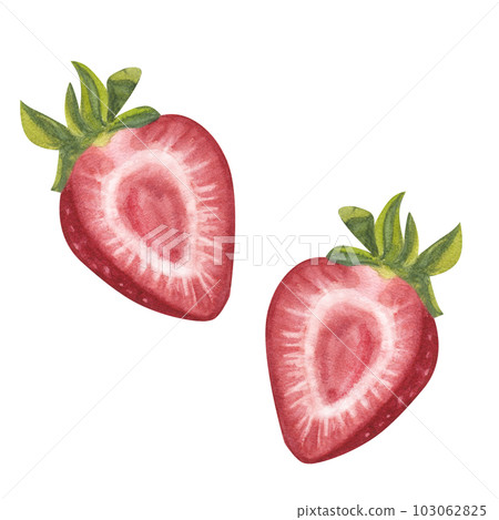 Red juicy strawberries with leaves. Summer sweet bright dessert berry. Hand-drawn watercolor illustration on white background. Design element bar restaurant menu, postcard, logo Red juicy strawberries with leaves. Summer sweet bright dessert berry. Hand-drawn watercolor illustration on white background. Design element bar restaurant menu, postcard, logo 103062825