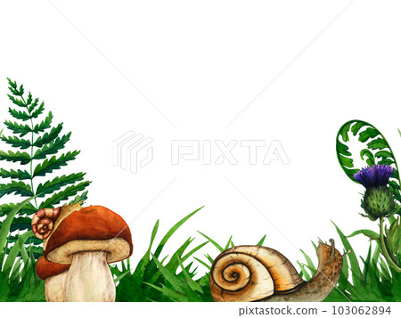 Watercolor hand drawn wild forest mushrooms porcini. Nature forest lawn scene. Wild fern landscape element. Isolated eco natural food vegetables illustration on white background 103062894