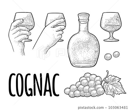 Glass, barrel and bottle of cognac. Vintage engraving illustration 103063481