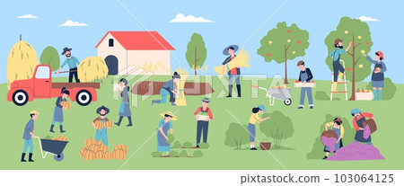 People working on farm. Rural agriculture scene, harvest and picking eco vegetables. Gardening seasonal farmers, workers recent vector concept People working on farm. Rural agriculture scene, harvest and picking eco vegetables. Gardening seasonal farmers, workers recent vector concept 103064125