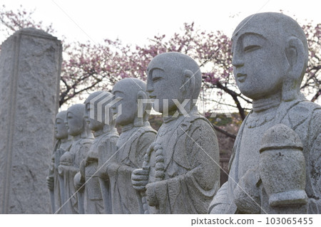 Jizo 103065455