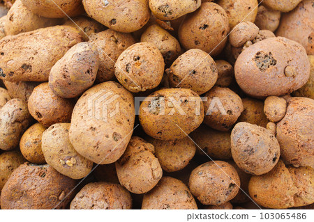 Expanded clay. small lumps of clay used in construction and for growing plants. Expanded clay. small lumps of clay used in construction and for growing plants. 103065486