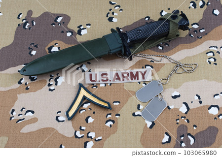 US ARMY Desert Battle Dress Uniform with bayonet and dog tags and private rank patch 103065980