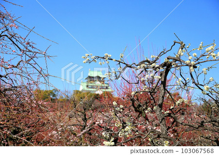 白花花 103067568