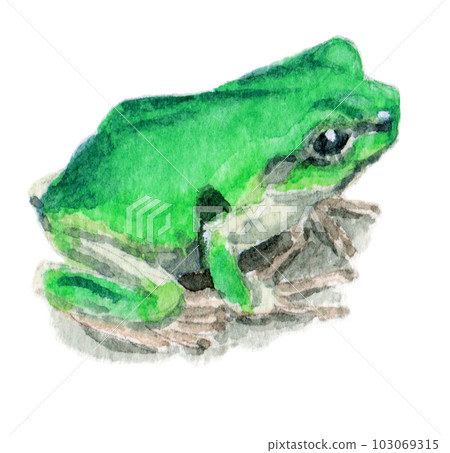 analog watercolor turquoise tree frog analog watercolor turquoise tree frog 103069315