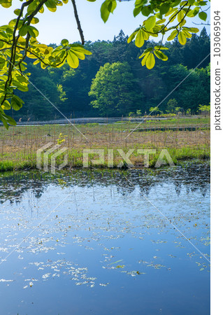Omine-numa Floating Island Minakami-machi with fresh green scenery 103069504