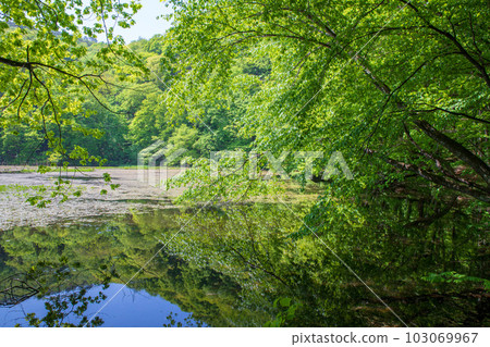 Omine-numa Floating Island Minakami-machi with fresh green scenery 103069967