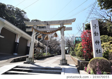 Kodo Shrine (2-chome Koshigoe, Kamakura City)　 103070055