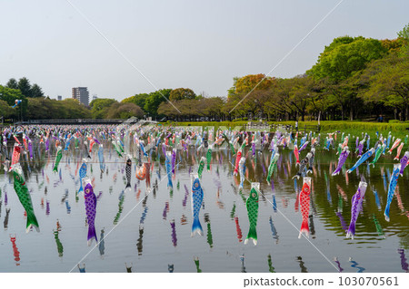 Koinobori Festival Tsuruuda River Koinobori Festival Tsuruuda River 103070561