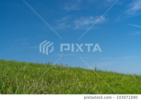 Blue sky and fresh green landscape 103071890