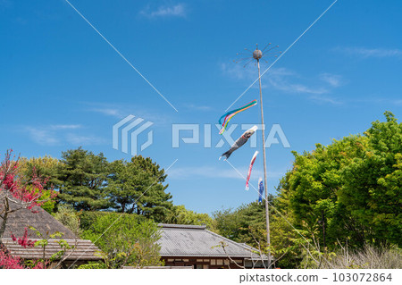 鯉魚幡在藍天中暢遊的風景 鯉魚幡在藍天中暢遊的風景 103072864