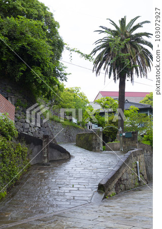 荷蘭坡雨 103072927