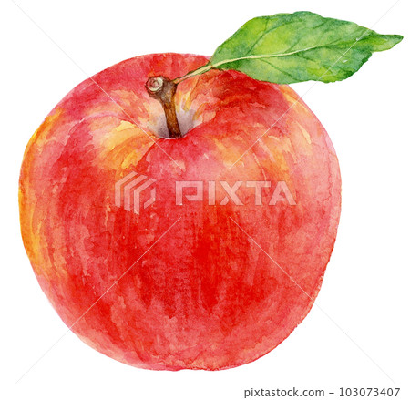 用水彩畫的葉子的蘋果插圖 103073407