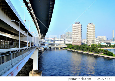 從彩虹橋看台場海濱公園的景色 103073458