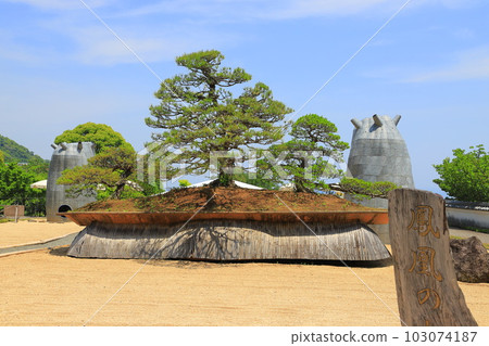 赤尾之森日本庭園“天正”和鳳凰松 103074187