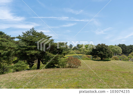 Blue sky and fresh green landscape Blue sky and fresh green landscape 103074235