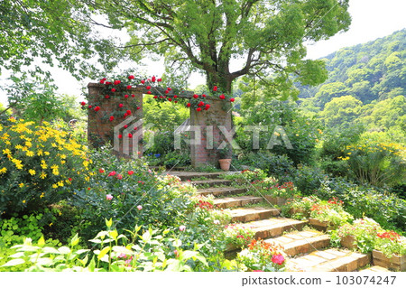 Akao Forest "English Rose Garden" 103074247
