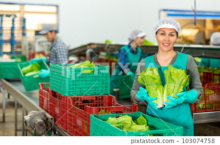 Smiling woman vegetable factory worker with lettuce Smiling woman vegetable factory worker with lettuce 103074758