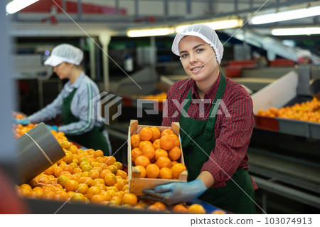 Happy female sorting factory worker showing mandarins in box 103074913