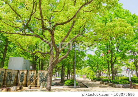 神戶市中央區的新綠東遊園地公園 神戶市中央區的新綠東遊園地公園 103075696