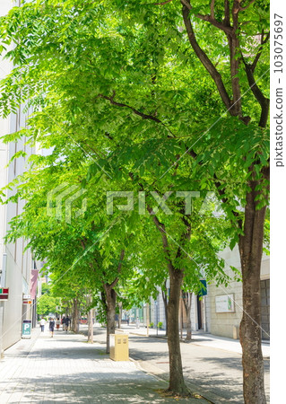 神戶市中央區新綠村落舊址 103075697