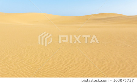 鳥取沙丘 103075737