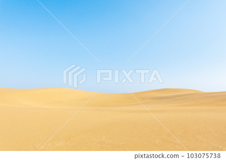 鳥取沙丘 鳥取沙丘 103075738