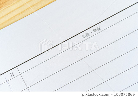 Curriculum vitae and work experience column Curriculum vitae and work experience column 103075869