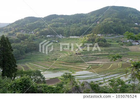 日本岡山縣三崎町小田和西梯田美景 103076524