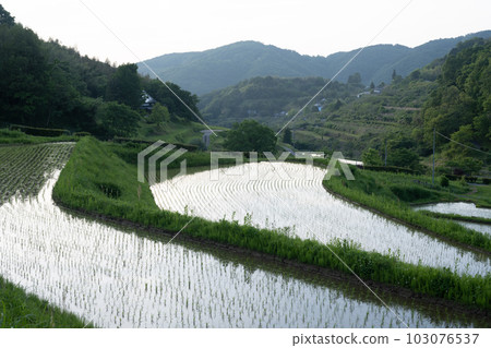 日本岡山縣三崎町小田和西梯田美景 103076537