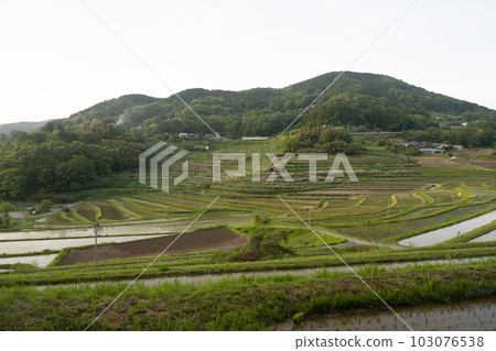 日本岡山縣三崎町小田和西梯田美景 日本岡山縣三崎町小田和西梯田美景 103076538