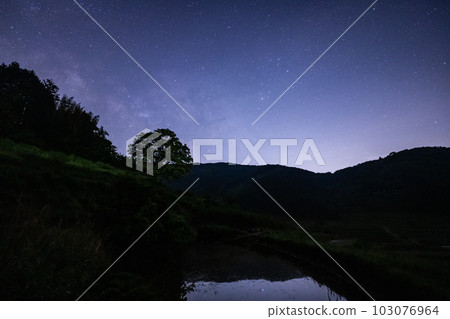 The Milky Way over the rice terraces of Misaki Town, Okayama Prefecture, Japan 103076964