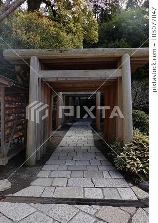 錢洗辨財天宇賀福神社∀ 錢洗辨財天宇賀福神社∀ 103077047