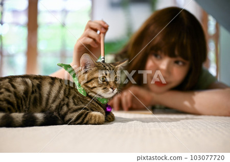 A woman resting with her cute tabby cat at her worktable in her living room. 103077720