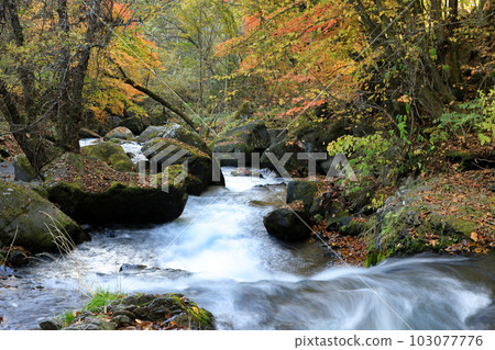 Tateshina Otaki Falls in Shinshu Tateshina Highlands Tateshina Otaki Falls in Shinshu Tateshina Highlands 103077776