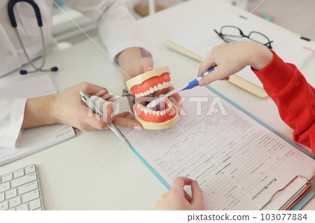 Little girl cleans jaw model with toothbrush at appointment 103077884