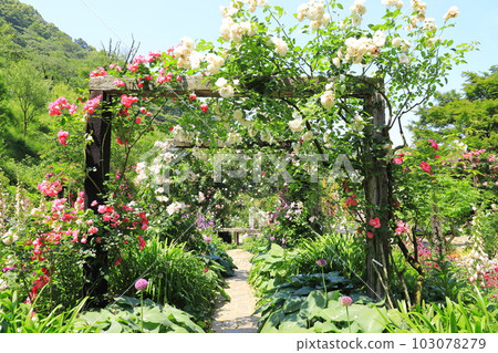 赤尾之森“婚禮花園”和“求婚花園” 103078279