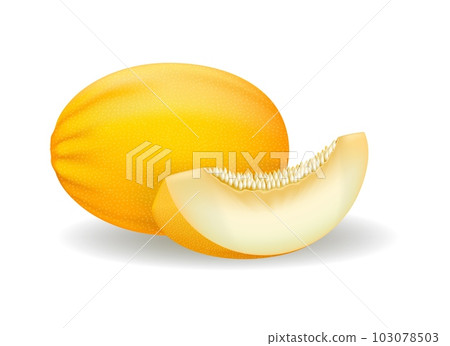 Canary melon realistic 103078503