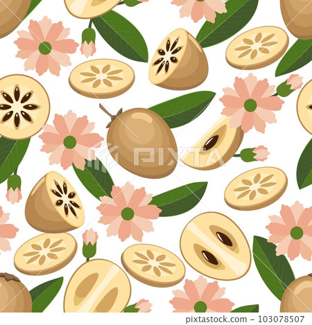 Sapodilla fruit seamless pattern Sapodilla fruit seamless pattern 103078507