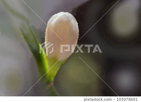 Digital illustration of a white flower bud on a blurred background. Digital art. Digital illustration of a white flower bud on a blurred background. Digital art. 103078691