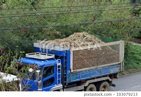 宮古島一輛裝著成堆甘蔗的送貨卡車 宮古島一輛裝著成堆甘蔗的送貨卡車 103079213