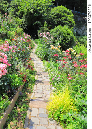 Akao Forest Small path leading to the wedding garden 103079326