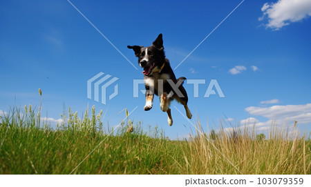 狗在草地上奔跑 AI 生成圖像 AI 圖像 103079359