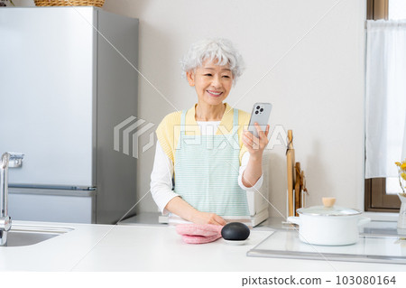 Senior woman cooking in kitchen 103080164
