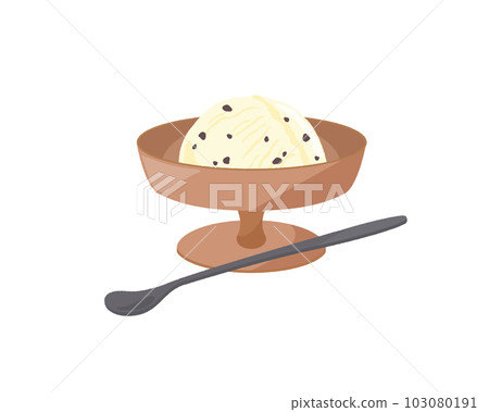 chocolate chip ice cream in dessert plate chocolate chip ice cream in dessert plate 103080191
