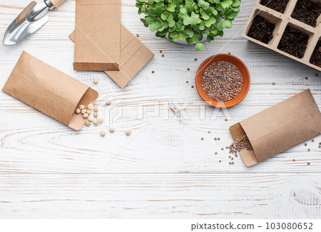 Gardening concept, planting at home Gardening concept, planting at home 103080652