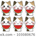 Illustration 6 facial expression set of a calico cat holding a watermelon with a smile 103080676