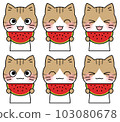 Illustration 6 facial expression set of a pheasant cat holding a watermelon with a smile 103080678
