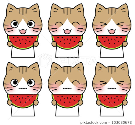 Illustration 6 facial expression set of a pheasant cat holding a watermelon with a smile 103080678