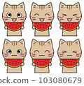 Illustration 6 facial expression set of a pheasant cat holding a watermelon with a smile 103080679